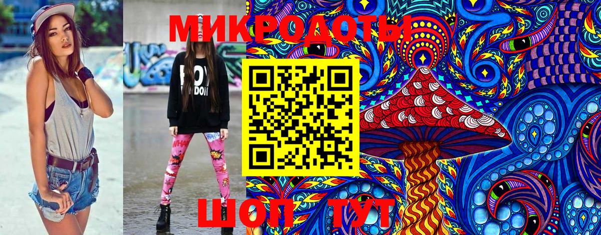 Галлюциногенные грибы Psilocybe Спасск-Дальний
