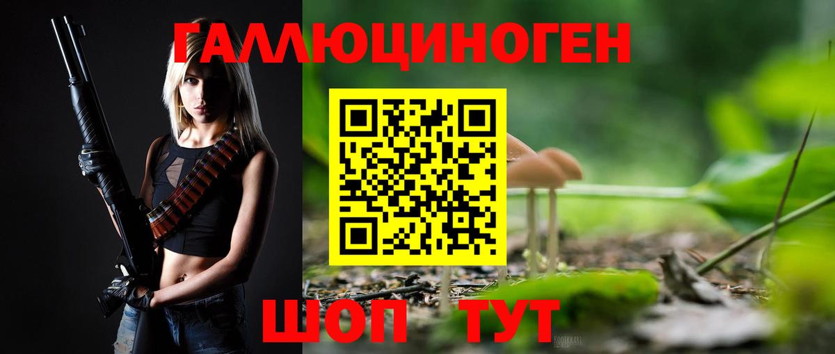 Псилоцибиновые грибы Psilocybe  Вход с VPN  Спасск-Дальний  Галлюциногенные грибы прущие грибы 